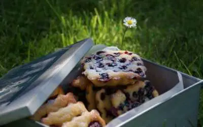 Petits clafoutis aux fruits