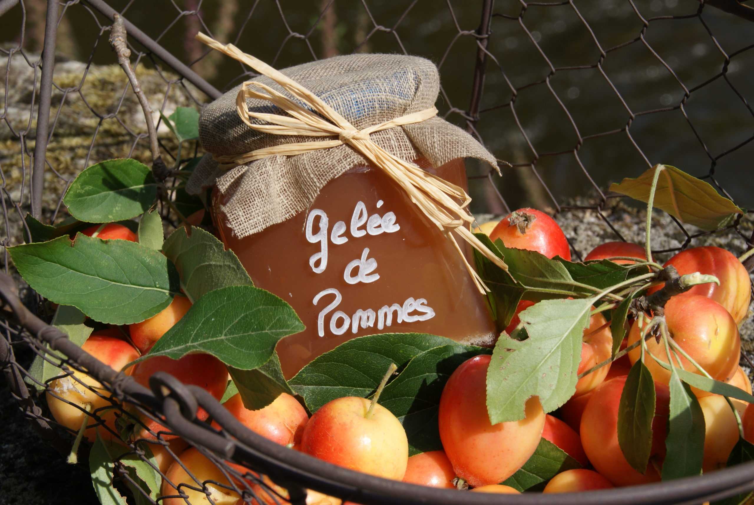 Gelée de pommes